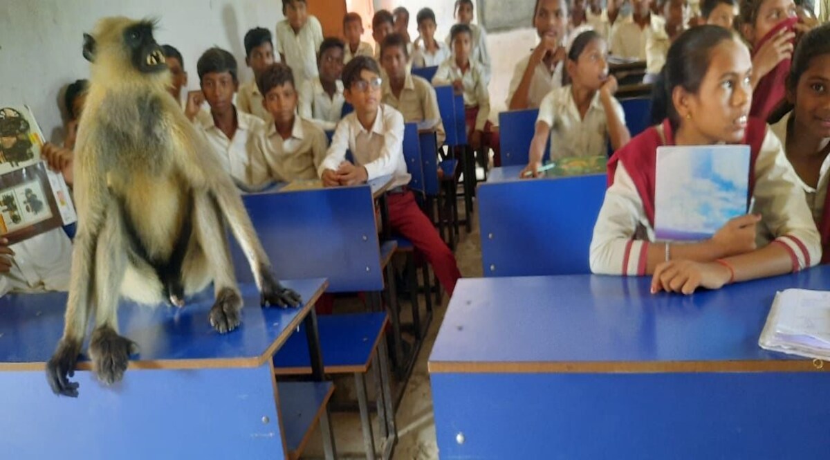 Jharkhand News: एक क्लास जहां बच्चों के साथ पढ़ने आता है लंगूर! CrimeTak