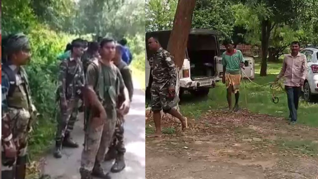 Jharkhand News: डायन बताकर तीन महिलाओं को पीट-पीट कर मार डाला Jharkhand News: डायन बताकर तीन महिलाओं को पीट-पीट कर मार डाला