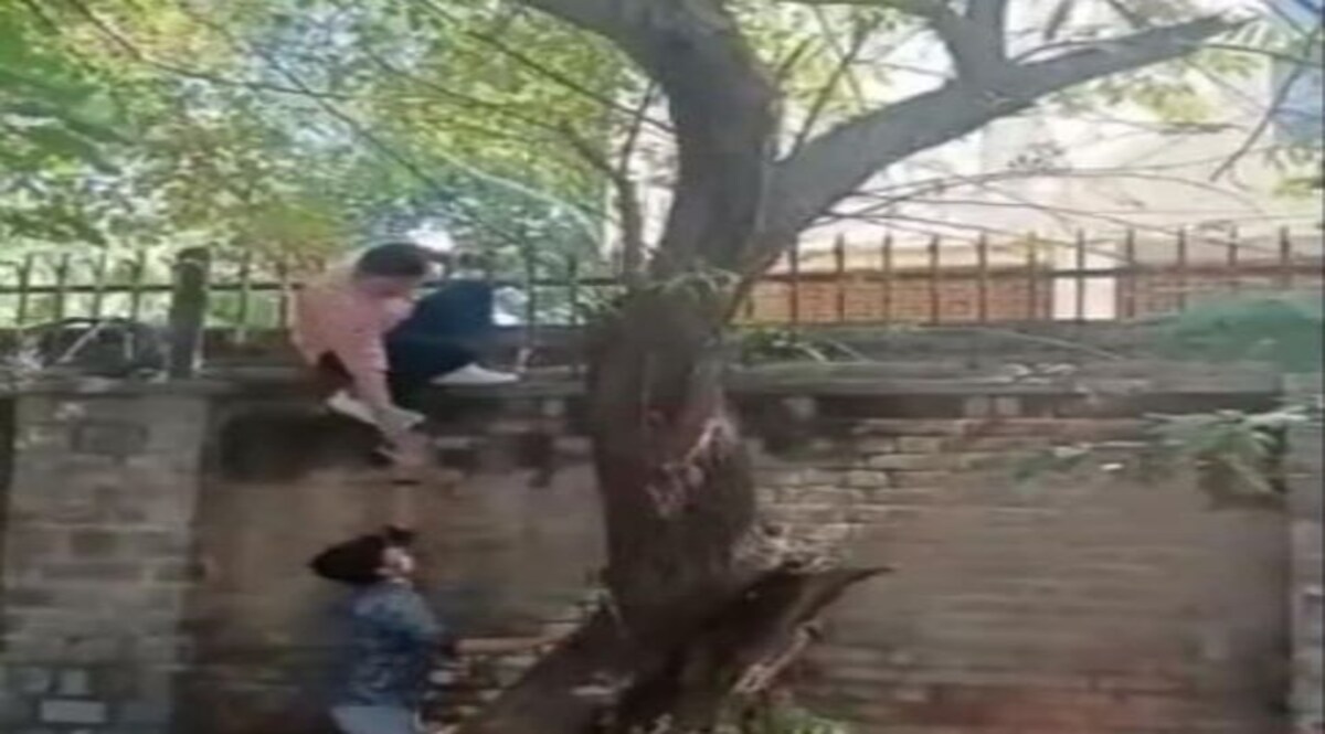 मिरांडा हाउस महिला कॉलेज की दीवार पर चढ़े मनचले, लड़कियों के खिलाफ़ भद्दे कमेंट्स CrimeTak