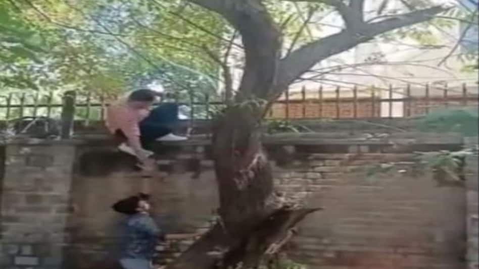 मिरांडा हाउस महिला कॉलेज की दीवार पर चढ़े मनचले, लड़कियों के खिलाफ़ भद्दे कमेंट्स मिरांडा हाउस महिला कॉलेज की दीवार पर चढ़े मनचले, लड़कियों के खिलाफ़ भद्दे कमेंट्स