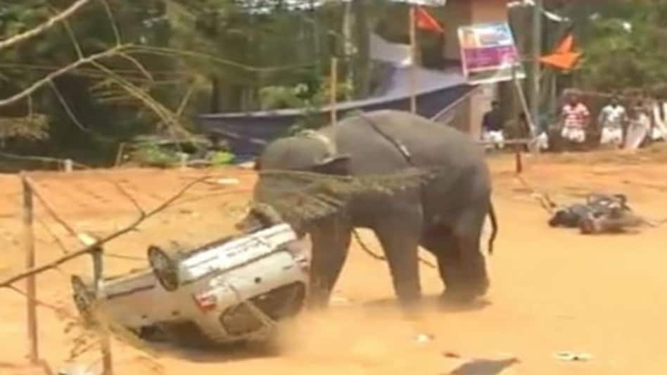 पगलाए हाथी ने मंदिर में जमकर मचाया बवाल, कार को कुचल दिया, महावत ने ऐसे बचाई जान पगलाए हाथी ने मंदिर में जमकर मचाया बवाल, कार को कुचल दिया, महावत ने ऐसे बचाई जान