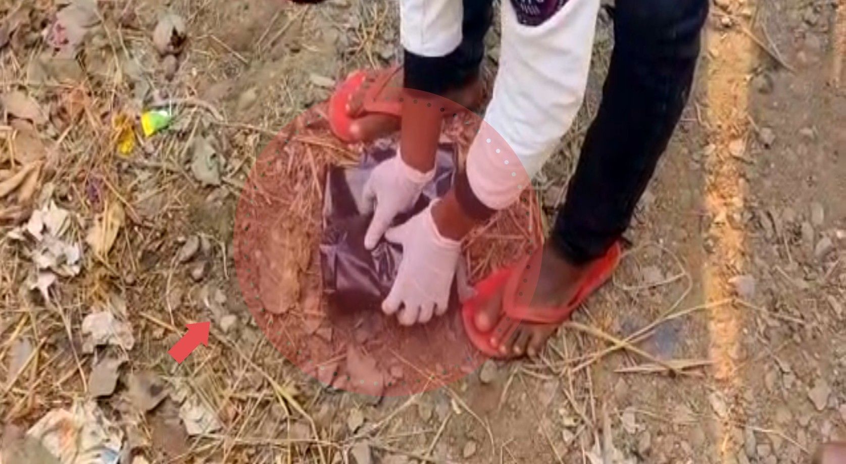 झारखंड में श्रद्धा जैसा हत्याकांड: दिलदार अंसारी ने रुबिका की हत्या कर शव के किए 12 टुकड़े CrimeTak