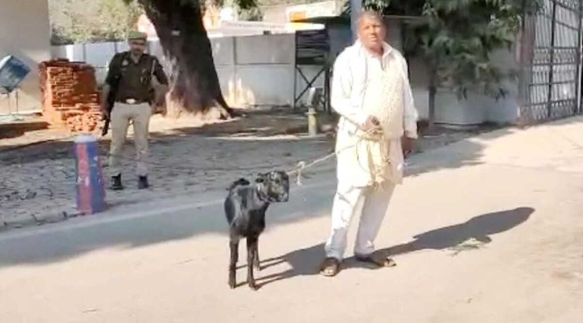 Bareilly News: ...जब काला बकरा लेकर एसएसपी ऑफिस पहुंचा CrimeTak