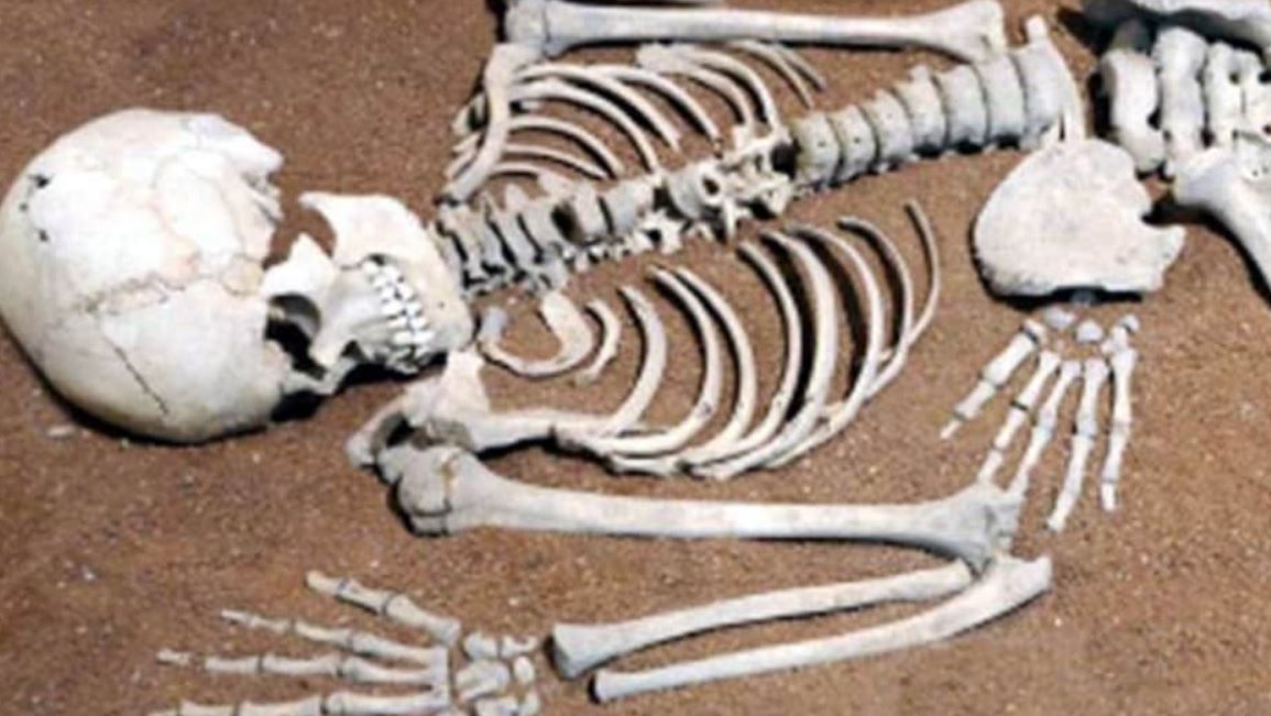 MP Crime: इंदौर के अंतरराष्ट्रीय हवाई अड्डे में नर कंकाल मिलने से सनसनी, एक साल पुराना है नर कंकाल! MP Crime: इंदौर के अंतरराष्ट्रीय हवाई अड्डे में नर कंकाल मिलने से सनसनी, एक साल पुराना है नर कंकाल!