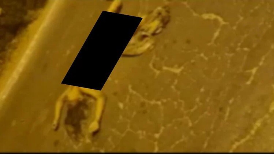 Delhi Girl Accident: कार से टक्कर के वक्त स्कूटी पर थीं 2 लड़कियां, इस वजह से 1 मौके से भाग गई Delhi Girl Accident: कार से टक्कर के वक्त स्कूटी पर थीं 2 लड़कियां, इस वजह से 1 मौके से भाग गई