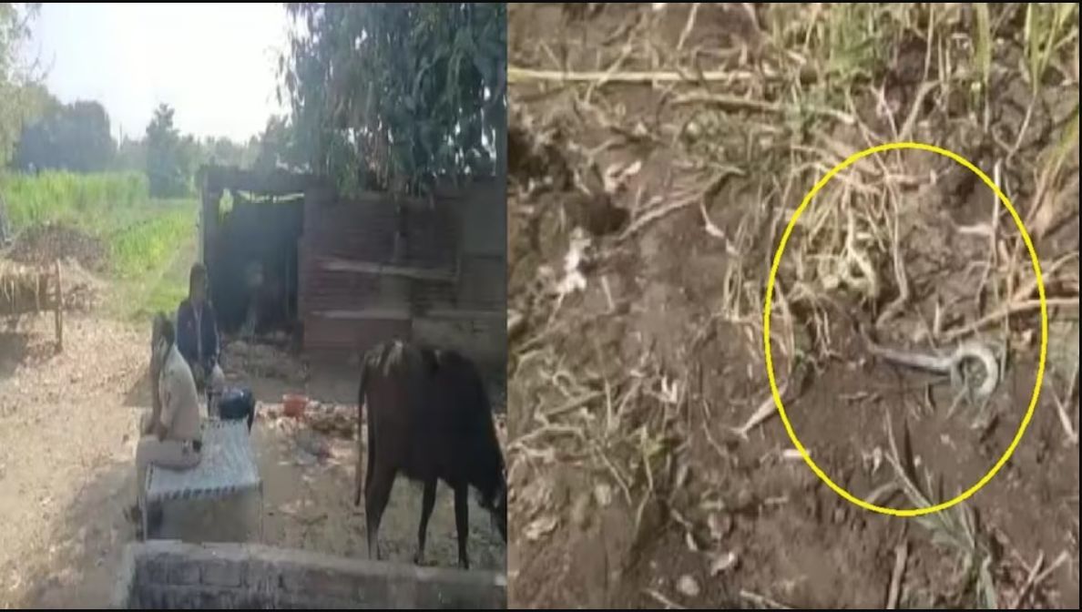 Honour Killing: लड़की को पिता-भाई ने करंट लगाकर मार डाला, शव जलाया, राख नाले में बहा दिया Honour Killing: लड़की को पिता-भाई ने करंट लगाकर मार डाला, शव जलाया, राख नाले में बहा दिया