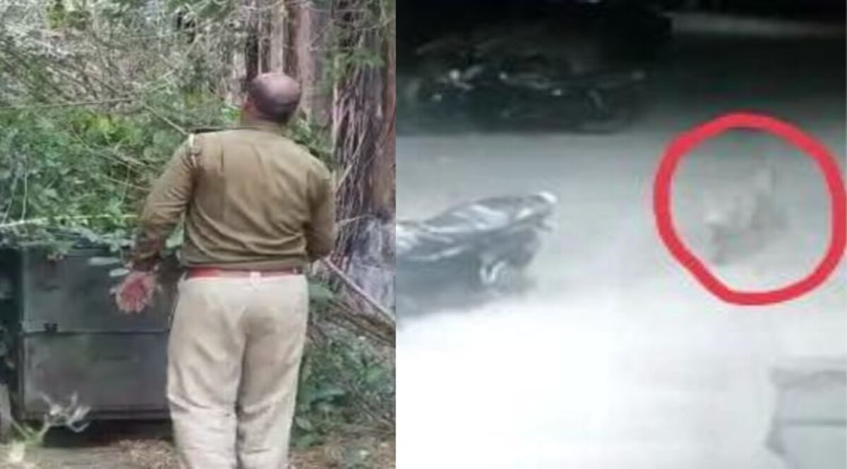 Rajasthan News: शहर के बीच शिकार करने आया पैंथर, लोगों में मचा हड़कंप CrimeTak