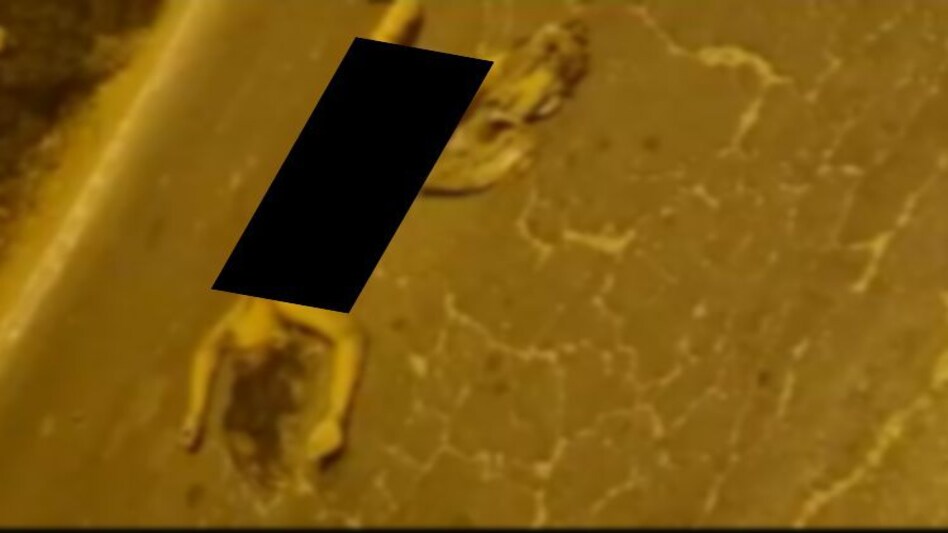 Delhi Crime: कार से लड़की को 4KM तक घसीटा, हड्डियां हुईं चकनाचूर, शरीर पर नहीं बचा एक भी कपड़ा Delhi Crime: कार से लड़की को 4KM तक घसीटा, हड्डियां हुईं चकनाचूर, शरीर पर नहीं बचा एक भी कपड़ा