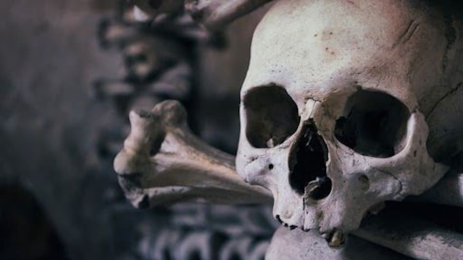 धन प्राप्ति के लिए बच्चे की दी बलि, नाबालिग का काटा सिर, कई टुकड़ों में मिली लाश धन प्राप्ति के लिए बच्चे की दी बलि, नाबालिग का काटा सिर, कई टुकड़ों में मिली लाश