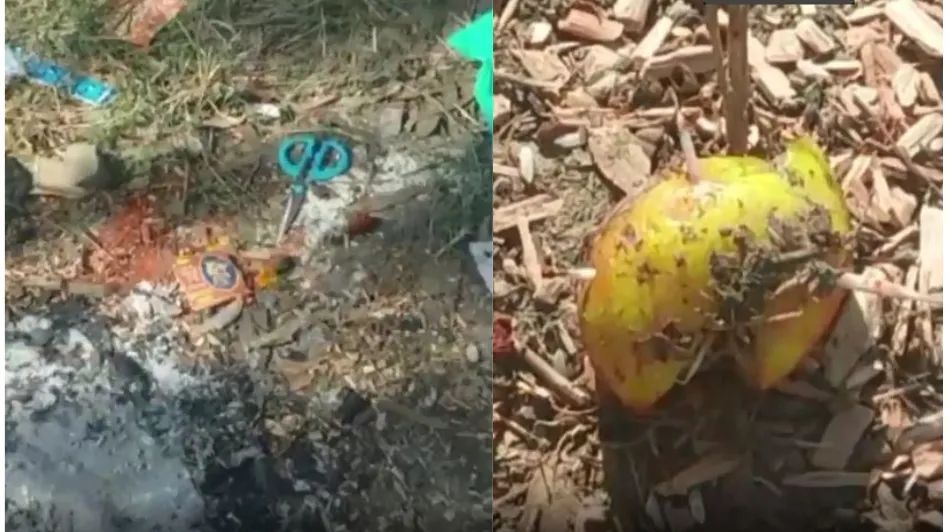 Haryana Crime: श्मशान में सात माह के बच्चे के शव के साथ तंत्र-मंत्र, तांत्रिक फरार