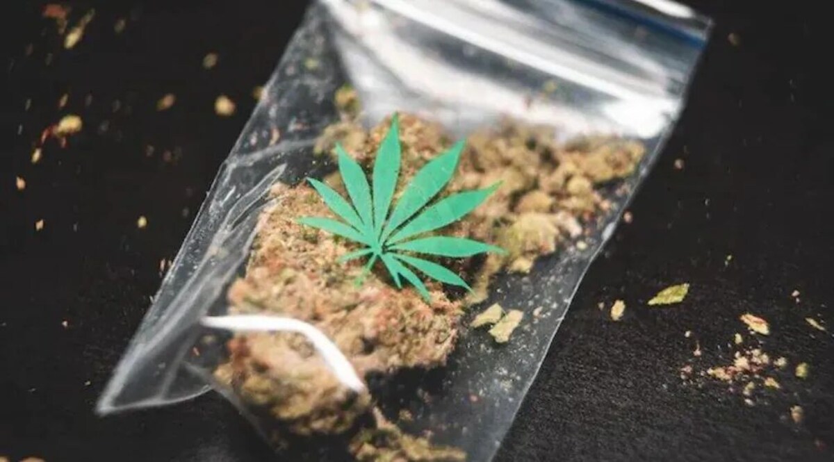 Crime News: गांजा तस्करी में एक शख्स हुआ गिरफ्तार, पुलिस ने जब्त किया 3 करोड़ का गांजा Social Media