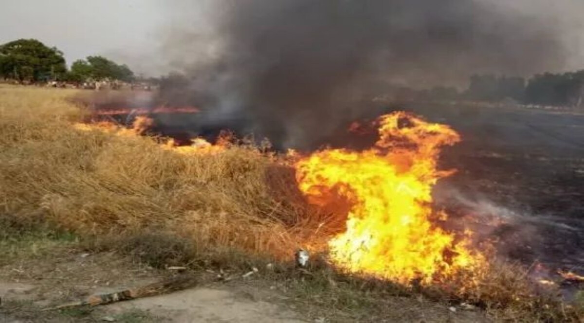 MP CRIME: पति ने पत्नी को लाठी से मार कर की हत्या फिर लकड़ियां इकट्ठा कर खेतों में जलाया Social Media