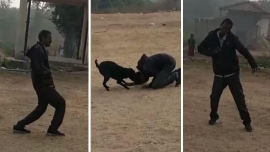 Dance with Dog : कुत्ते के संग नशे में झूमते स्कूल टीचर का 'स्ट्रीट डांस' हो गया वायरल Dance with Dog : कुत्ते के संग नशे में झूमते स्कूल टीचर का 'स्ट्रीट डांस' हो गया वायरल