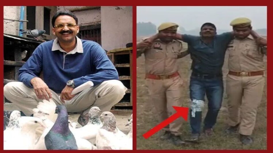 UP News: मुख्तार अंसारी के शार्प शूटर का हुआ एनकाउंटर, 16 मुकदमे पहले से दर्ज UP News: मुख्तार अंसारी के शार्प शूटर का हुआ एनकाउंटर, 16 मुकदमे पहले से दर्ज