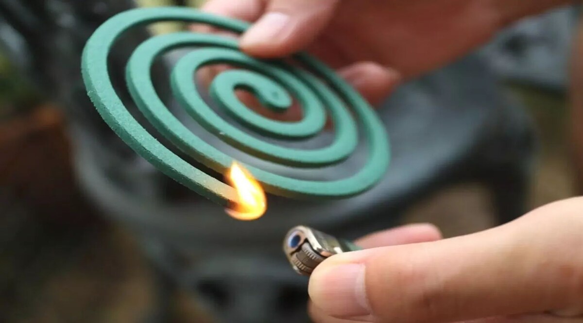 Delhi News: दिल्ली में मच्छर भगाने की अगरबत्ती से घर में लगी आग, छह लोगों की मौत Social Media