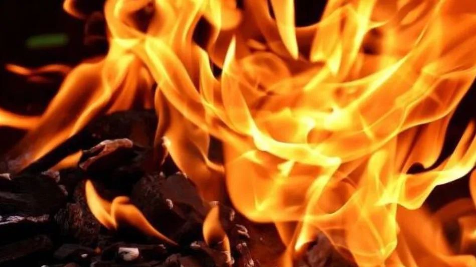 Jharkhand News: रांची में खौफनाक वारदात, बगदा घाटी में दो बच्चो व एक महिला की अधजली लाश मिली