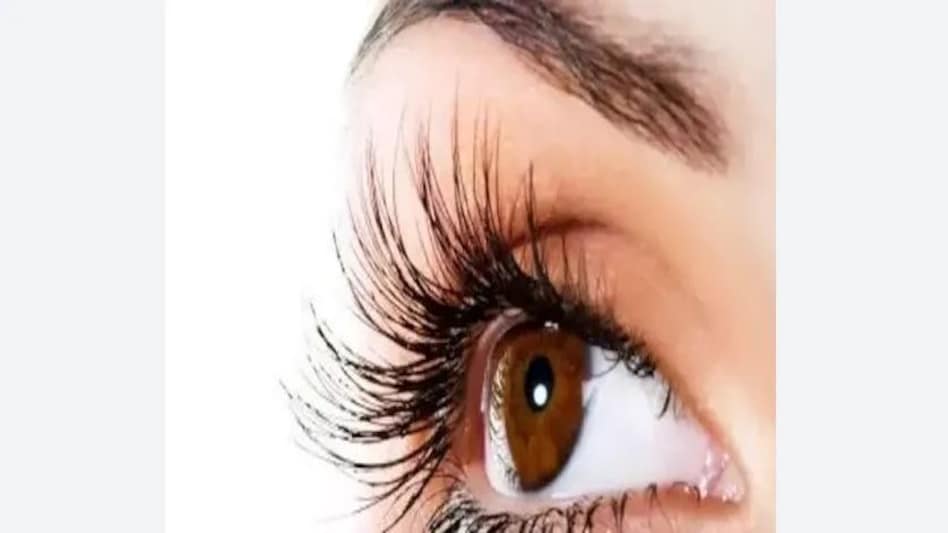 MP News: इंदौर के मंदिर में हुए भीषण हादसे में मारे गए श्रद्धालुओं की आंखों से दुनिया देख रहे हैं पांच लोग, दान की थीं आंखें MP News: इंदौर के मंदिर में हुए भीषण हादसे में मारे गए श्रद्धालुओं की आंखों से दुनिया देख रहे हैं प...