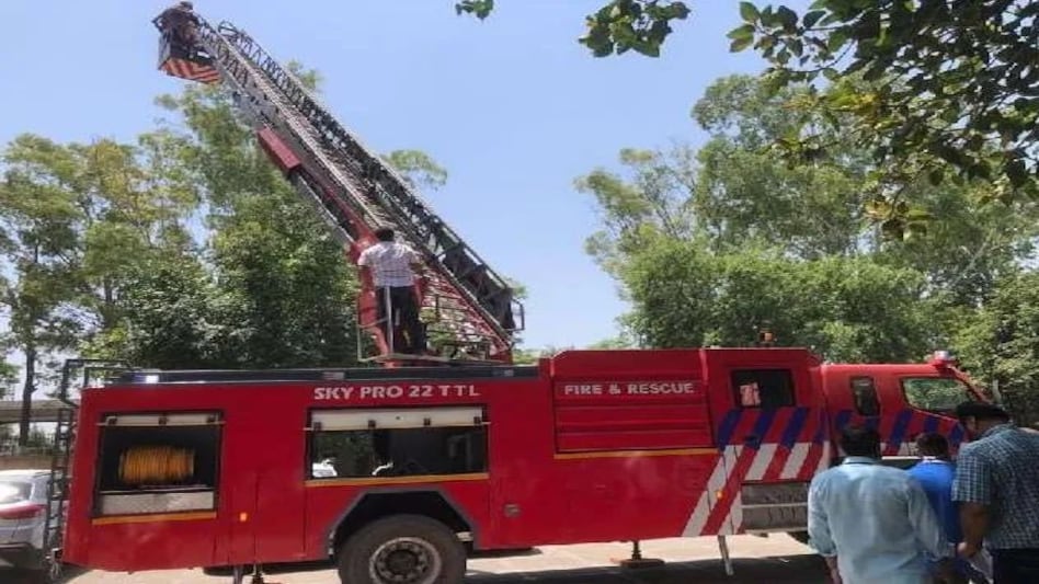 Bihar News: छत पर फंसी नाबालिक लड़की, फायर ब्रिगेड ने सीढ़ी लगा कर निकाला Bihar News: छत पर फंसी नाबालिक लड़की, फायर ब्रिगेड ने सीढ़ी लगा कर निकाला