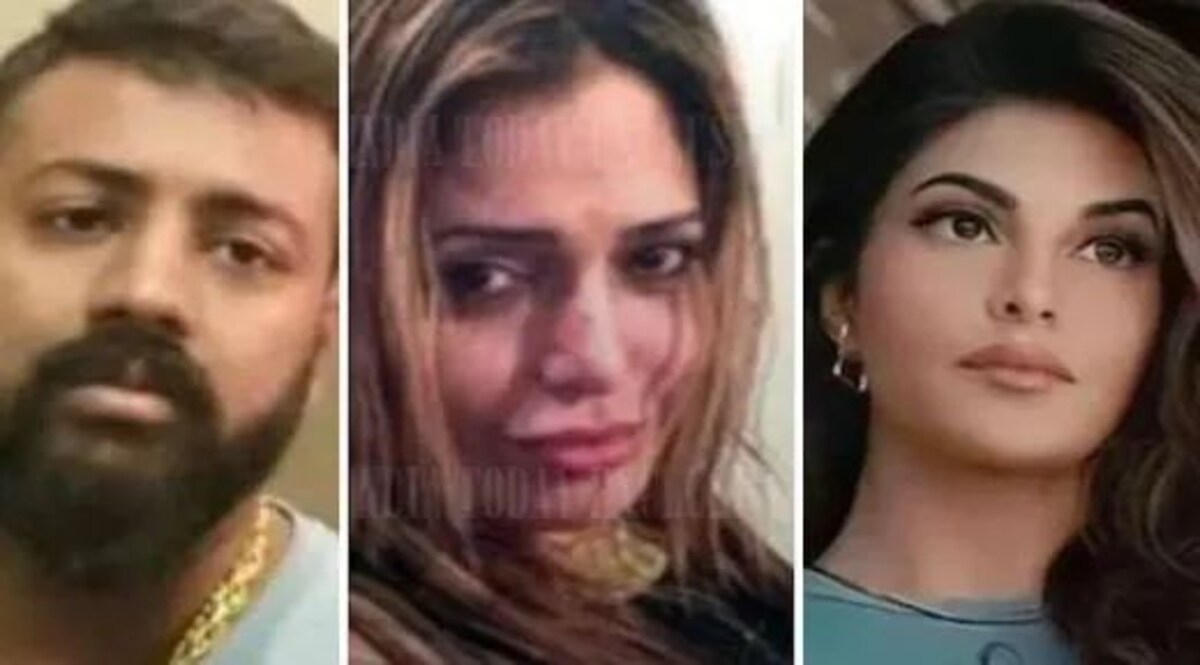अदालत ने सुकेश की सहयोगी की जमानत याचिका पर ईओडब्ल्यू से मांगा जवाब Court seeks response from EOW on bail plea of Sukesh's aide