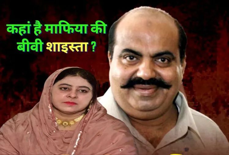 सिपाही की बेटी शाइस्ता पुलिस की पकड़ से काफी दूर, माफिया से ज्यादा पत्नी को पकड़ना हुआ मुश्किल सिपाही की बेटी शाइस्ता पुलिस की पकड़ से काफी दूर, माफिया से ज्यादा पत्नी को पकड़ना हुआ मुश्किल