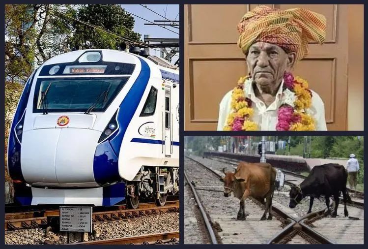 30 मीटर दूर पेशाब कर रहे शख्स पर जाकर गिरी गाय, वंदे भारत से टकरा कर इस शख्स पर जा गिरी और हुई मौत Social Media