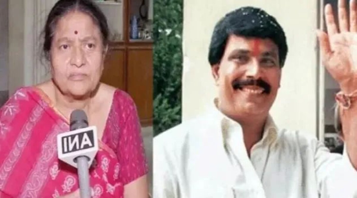 Anand Mohan Updates: बाहुबली आनंद मोहन की रिहाई को IAS जी कृष्णैया की पत्नी ने SC में दी चुनौती, 8 मई को सुनवाई Anand Mohan Updates