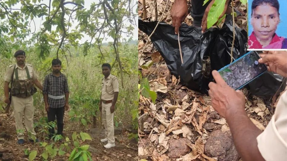 जंगल में मिली युवती की पांच टुकड़ों में कटी लाश, खोपड़ी व शरीर के पांच टुकड़े मिलने से सनसनी