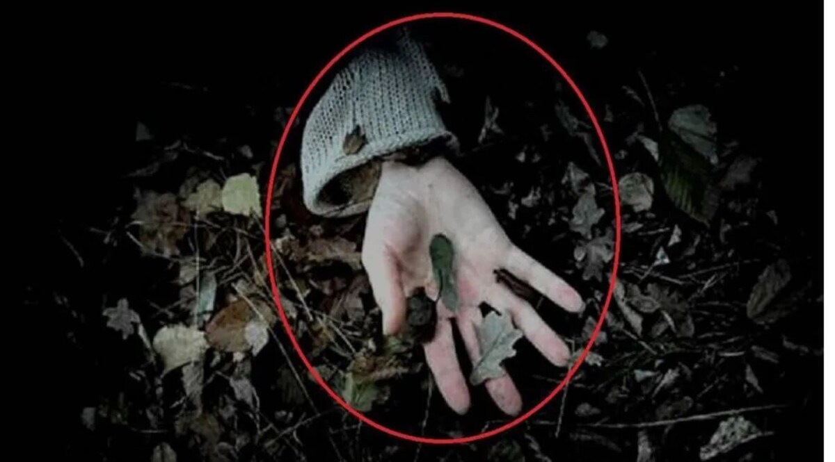 नोएडा में किडनैपर ने पांच साल के बच्चे का गला काटा, मरा समझ कर छोड़ा था जिंदा मिला बच्चा! जांच में जुटी पुलिस