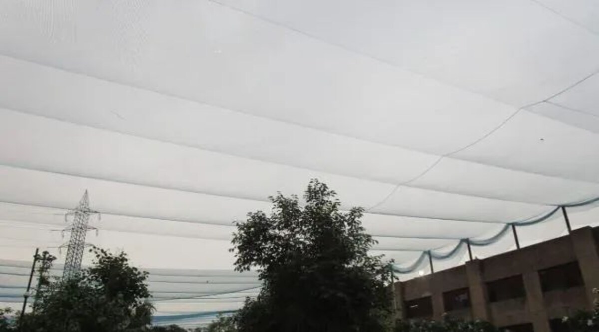 जेल के मकड़जाल से निपटने के लिए जाल से पहरा tihar jail