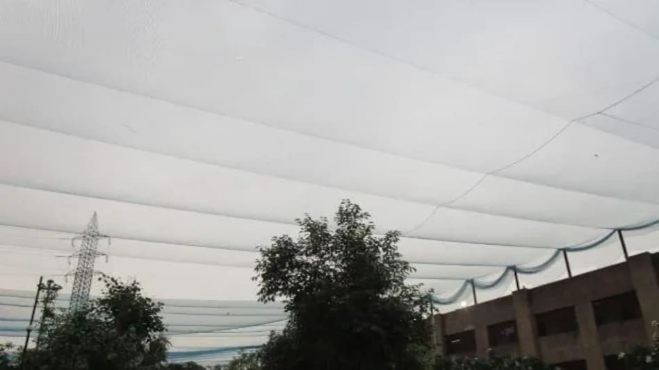 जेल के मकड़जाल से निपटने के लिए जाल से पहरा जेल के मकड़जाल से निपटने के लिए जाल से पहरा