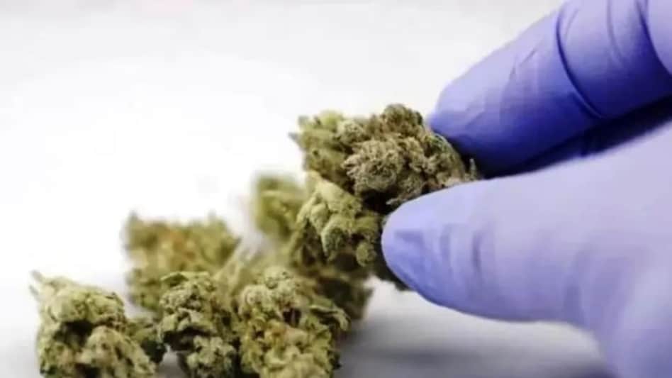 फिल्मी स्टाइल में एंबुलेंस से ढाई करोड़ के गांजे की तस्करी, आइए जानते क्या है पूरा मामला फिल्मी स्टाइल में एंबुलेंस से ढाई करोड़ के गांजे की तस्करी, आइए जानते क्या है पूरा मामला