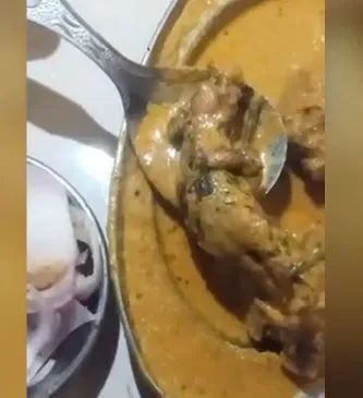 लुधियाना के इस रेस्टोरेंट में सर्व हुई 'चूहा ग्रेवी'! ये वीडियो देखकर चौंक जाएंगे Ludhiana Prakash Dhaba Controversy