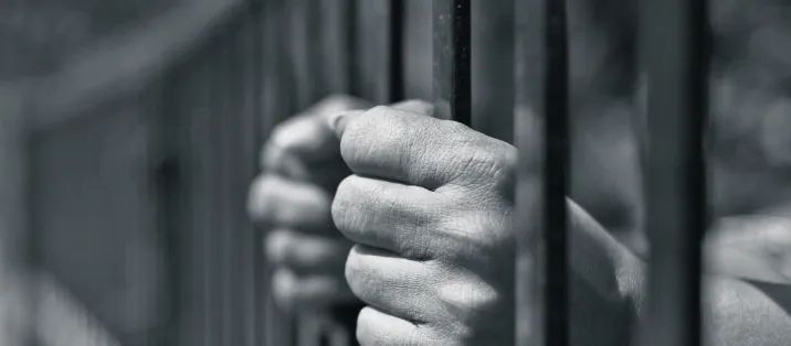 दर्जनों जानवरों के साथ बनाए अप्राकृतिक यौन संबंध, बुजुर्ग गिरफ्तार जांच में जुटी पुलिस