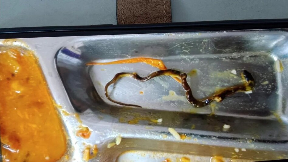 कंपनी की कैंटीन में खाने की थाली में निकला सांप, दाल में सांप निकलने से हड़कंप कंपनी की कैंटीन में खाने की थाली में निकला सांप, दाल में सांप निकलने से हड़कंप