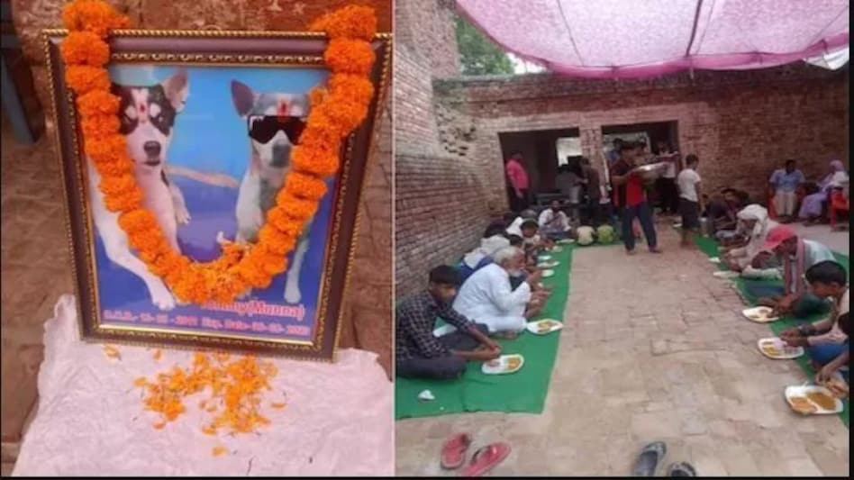 'बहुत वफादार था टॉमी', गांव वालों ने कुत्ते की तेरहवीं पर कराया ब्रह्म भोज 'बहुत वफादार था टॉमी', गांव वालों ने कुत्ते की तेरहवीं पर कराया ब्रह्म भोज