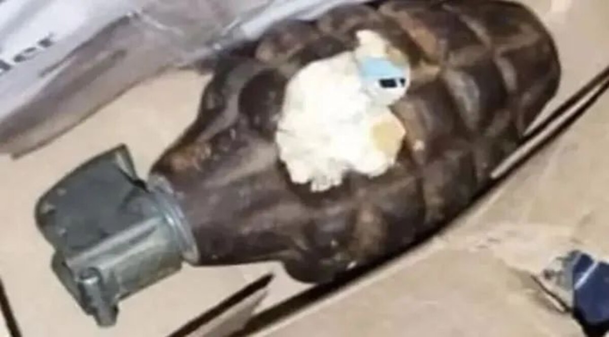 ऑनलाइन मंगवाया था मोबाइल, आ गई आफत, बुलानी पड़ी सेना मोबाइल के डिब्बे में निकला हैंडग्रेनेड