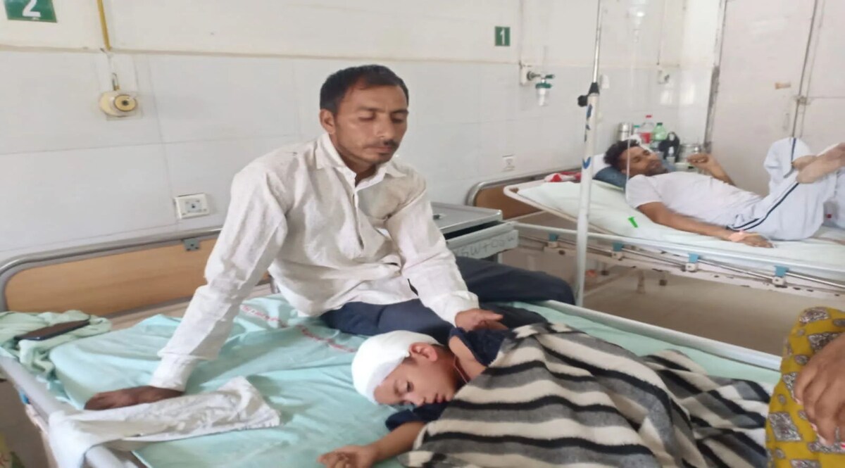 हिसार में 30 आवारा कुत्तों ने 4 साल के बच्चों को बुरी तरह काटा, सिर में 40 टांके, गुप्तांग में भी गहरी चोट Hisar news : अस्पताल में भर्ती बच्चा