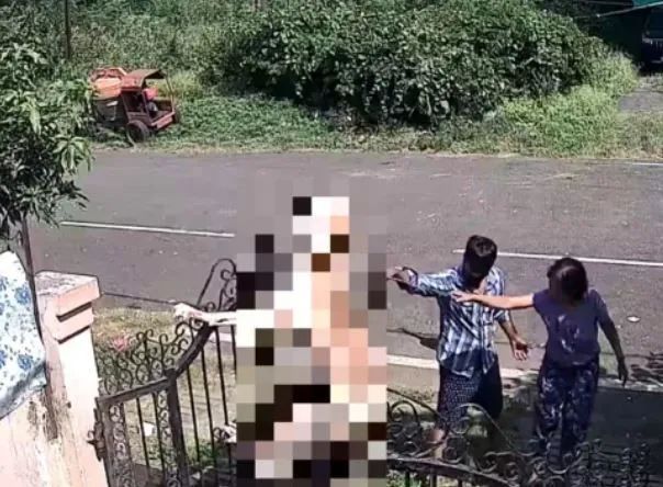 Bhopal Dog Viral Video: कुत्ते सुल्तान को फांसी पर लटका दिया, 10 मिनट तक तड़पता रहा सुल्तान, पूरी वारदात सीसीटीवी में कैद Bhopal Dog Viral Video: कुत्ते सुल्तान को फांसी पर लटका दिया, 10 मिनट तक तड़पता रहा सुल्तान, पूरी व...