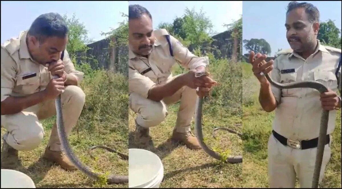 अधमरा पड़ा था सांप, कांस्टेबल ने उठाकर मुंह में रखा और भरने लगा हवा, CPR देकर बचायी जान Crime News