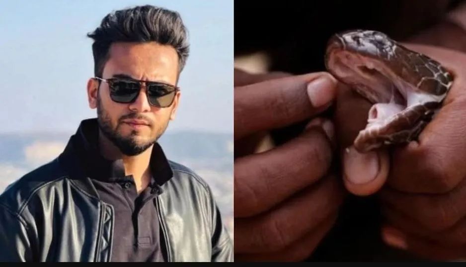 Elvish Yadav : एल्विश यादव से जल्द पूछताछ करेगी नोएडा पुलिस, नोटिस भेज किया ये बड़ा दावा Elvish Yadav : एल्विश यादव से जल्द पूछताछ करेगी नोएडा पुलिस, नोटिस भेज किया ये बड़ा दावा