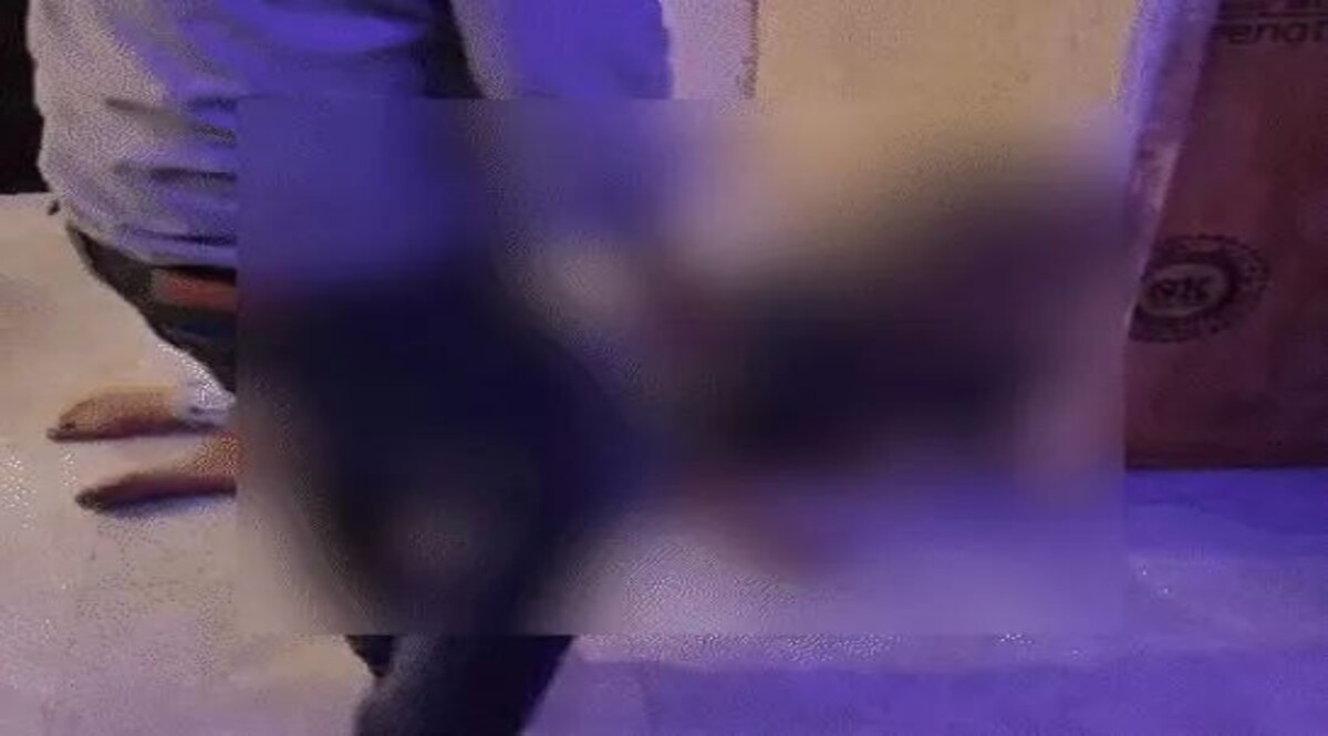 लड़की को पहले शराब पिलाई फिर किया गैंगरेप, लड़की के चीखने चिल्लाने वाला वीडियो वायरल आगरा में चार लड़कों ने एक लड़की के साथ की दरिंदगी की इंतेहा