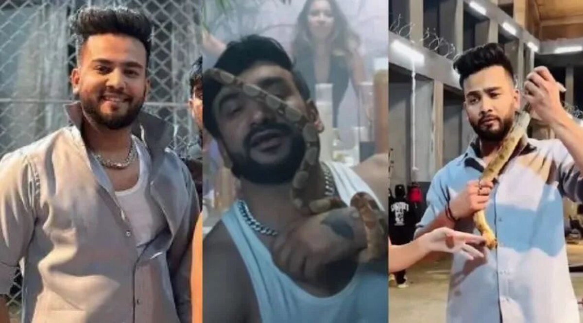 राहुल की ‘लाल’ डायरी से बढ़ सकती है एल्विश की मुश्किलें, कई ‘सफेदपोश’ पार्टी ऑर्गनाइजर हो सकते हैं बेनक़ाब सांप और जहर वाले मामले में फाजलपुरिया के अलावा अब कुछ और नामों का हो सकता है खुलासा