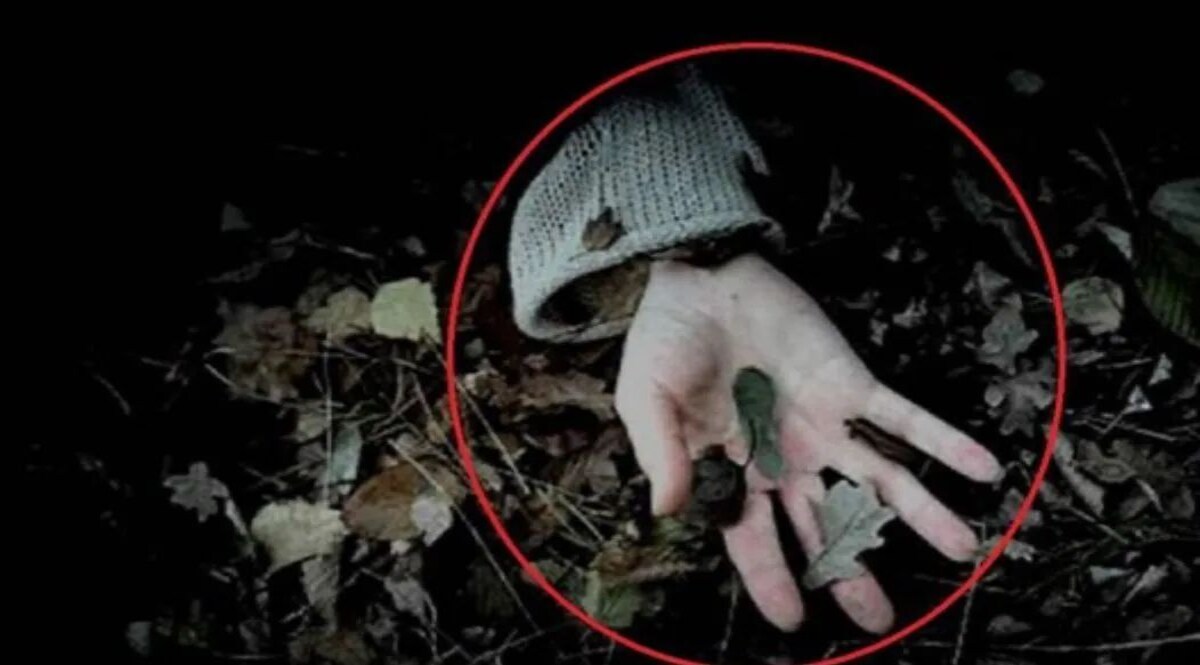 गुरुग्राम में एक हफ़्ते के बच्चे की गला रेतकर हत्या, सड़क किनारे फेंकी लाश Photo