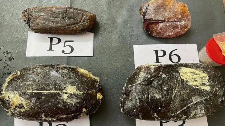 ठाणे में तीन करोड़ रुपये मूल्य की एंबरग्रीस बरामद, एंबरग्रीस को कहते हैं समुद्री खजाना, दो लोग गिरफ्तार ठाणे में तीन करोड़ रुपये मूल्य की एंबरग्रीस बरामद, एंबरग्रीस को कहते हैं समुद्री खजाना, दो लोग गिरफ...