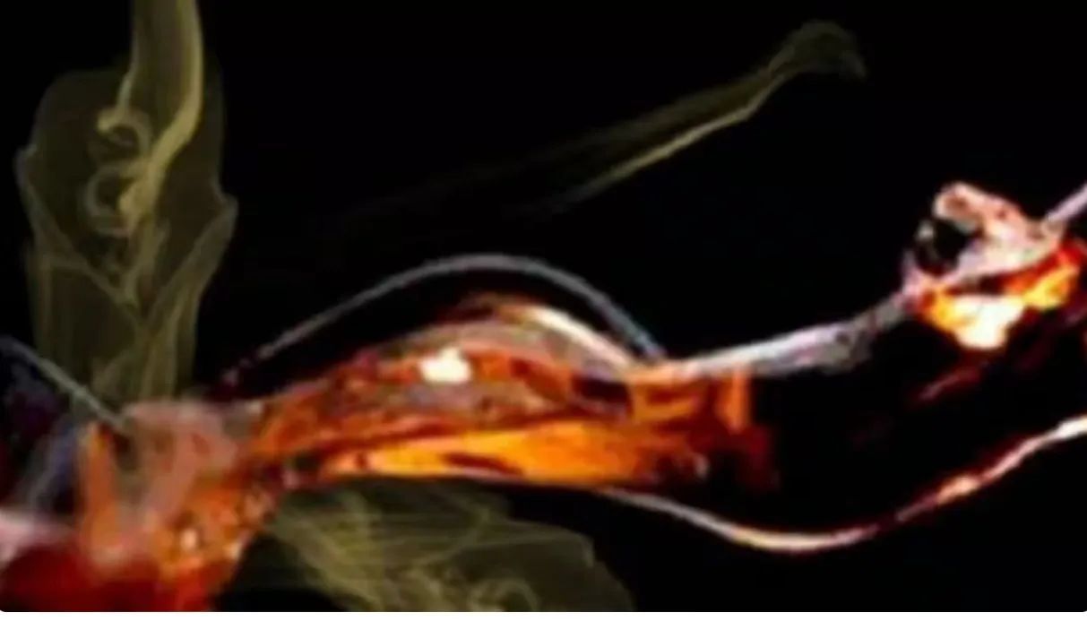 ओडिशा में तेज़ाबी हमला, तीन व्यक्तियों पर फेंका तेजाब, पिता पुत्र समेत तीन झुलसे Photo