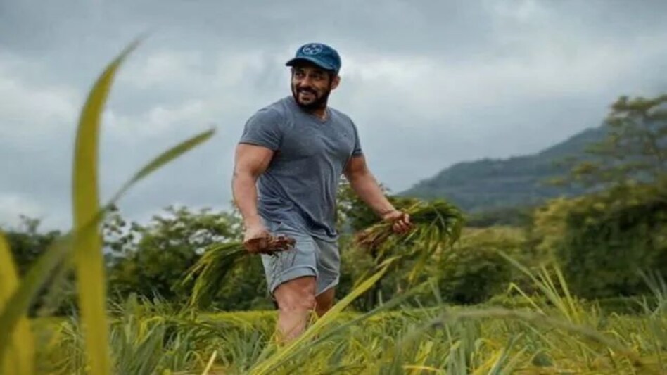 तार काटकर सलमान खान के फार्म हाउस में घुस रहे थे दो लड़के, पकड़े गए, निकली नकली पहचान तार काटकर सलमान खान के फार्म हाउस में घुस रहे थे दो लड़के, पकड़े गए, निकली नकली पहचान