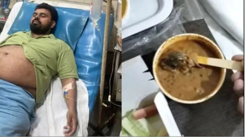 इस फेमस रेस्टोरेंट में शाकाहारी थाली में निकला 'मरा हुआ चूहा', खाने वाले की तबीयत खराब इस फेमस रेस्टोरेंट में शाकाहारी थाली में निकला 'मरा हुआ चूहा', खाने वाले की तबीयत खराब