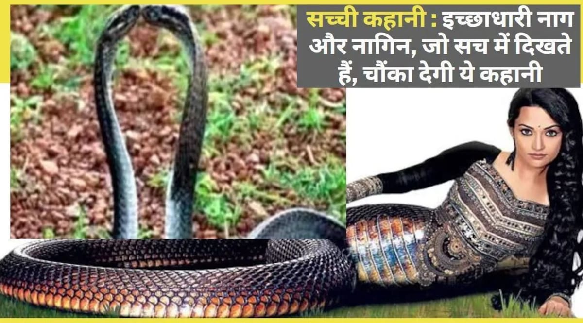 इस पुरानी पहाड़ी पर आज भी दिख जाते हैं इच्छाधारी नाग-नागिन, बेशुमार खजाने की करते हैं रखवाली Naag Nagin Kahani : क्या इच्छाधारी नाग नागिन सच में होते हैं या फिर कहानी.