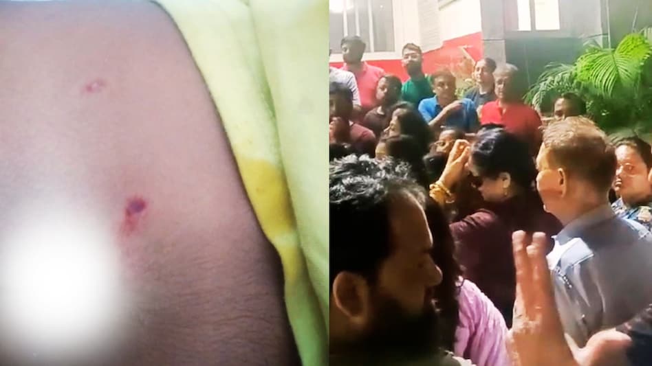 आवारा कुत्तों के आतंक से थर्राई नोएडा की ये हाई प्रोफाइल सोसाइटी, 6 साल की बच्ची पर किया हमला आवारा कुत्तों के आतंक से थर्राई नोएडा की ये हाई प्रोफाइल सोसाइटी, 6 साल की बच्ची पर किया हमला