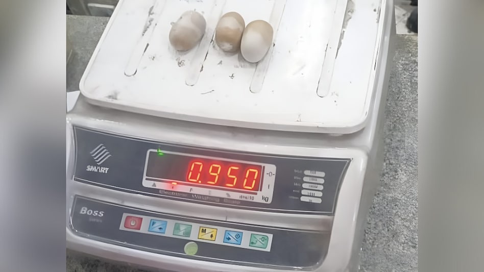 प्राइवेट पार्ट में छिपा कर शारजाह से लाया 60 लाख का सोना, एयरपोर्ट पर कस्टम वालों ने ऐसे पकड़ा आरोपी प्राइवेट पार्ट में छिपा कर शारजाह से लाया 60 लाख का सोना, एयरपोर्ट पर कस्टम वालों ने ऐसे पकड़ा आरोपी